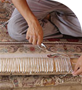 قالیشویی محله چیتگر
