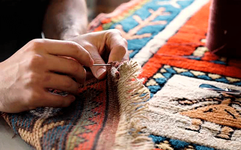 ارزانترین ریشه زنی در چیتگر